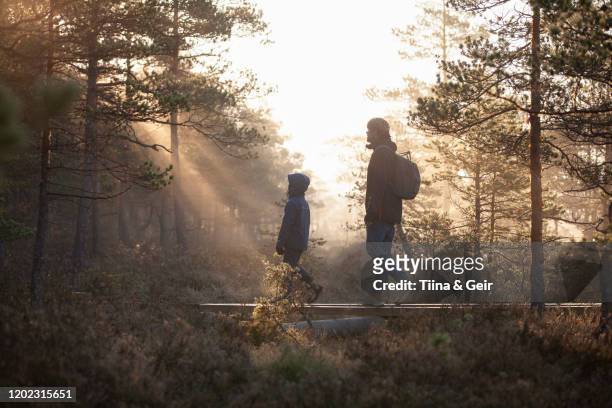 father and son walking on planks in forest, finland - two parents photos et images de collection