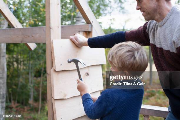 father and son building treehouse together in garden - tree house stock pictures, royalty-free photos & images