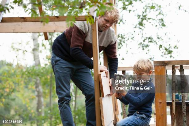 father and son building treehouse together in garden - tree house bildbanksfoton och bilder