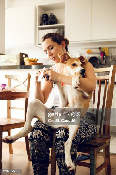 donna che pulisce le zampe del suo cane con un asciugamano - animal foot foto e immagini stock