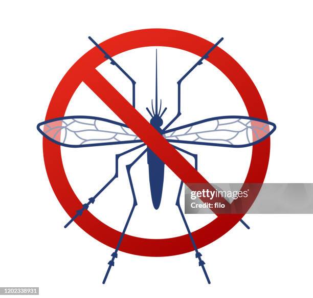 no mosquitoes symbol - malaria parasite stock illustrations