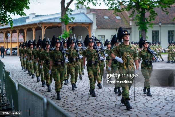royal guards in oslo - army norway stock pictures, royalty-free photos & images