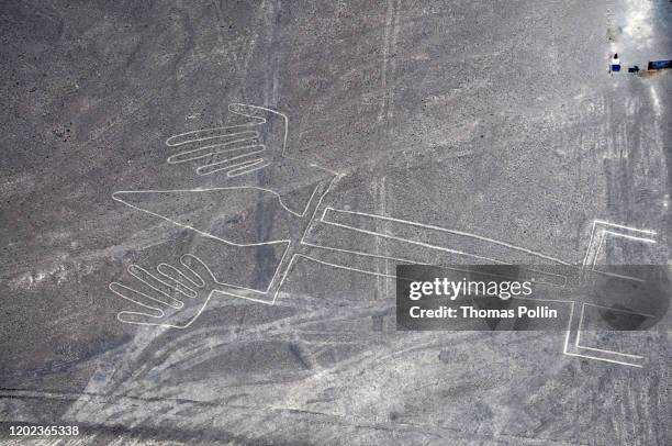 aerial view over nazca lines - nazca lines 個照片及圖片檔