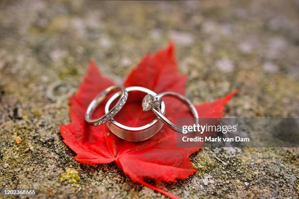 diamond wedding rings and engagement ring with brilliant red maple leaf on rock horizontal 2 - heritage round three stock pictures, royalty-free photos & images