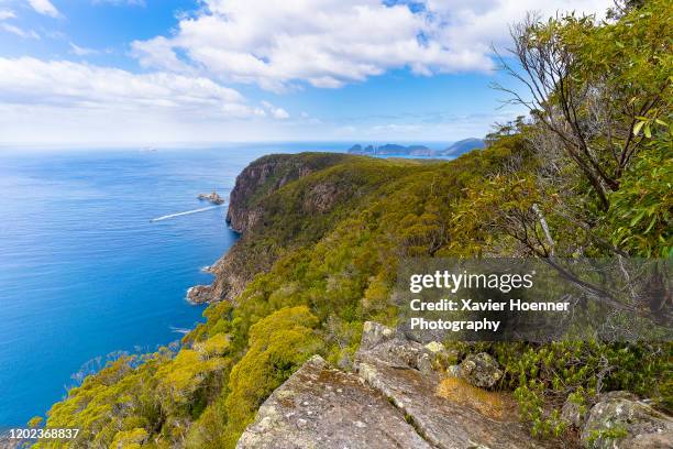 tasman coastal trail - tasmania landscape stock-fotos und bilder