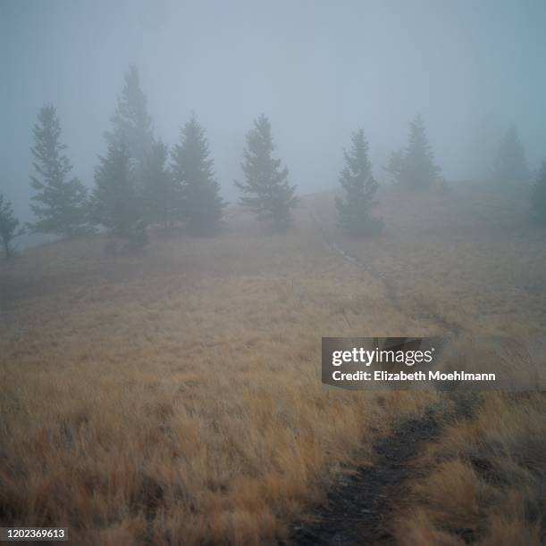 montana landscape - kalispell - fotografias e filmes do acervo