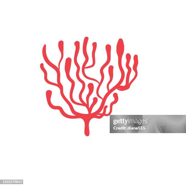 nautical icon - coral - kelp stock illustrations
