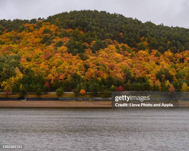 tohoku autumn scenery - 岩手県 stock pictures, royalty-free photos & images