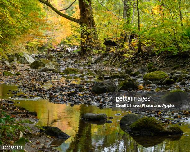 tohoku autumn scenery - 十和田市 stock-fotos und bilder