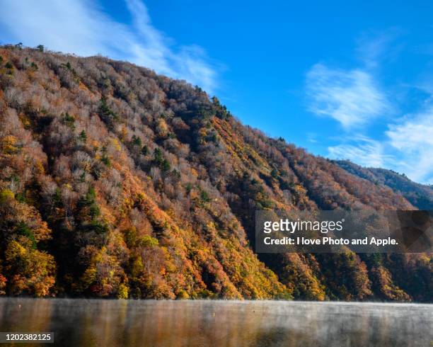 japan autumn scenery - 新潟県 stock pictures, royalty-free photos & images