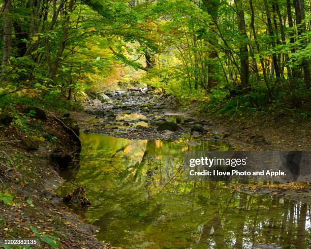 tohoku autumn scenery - 十和田市 stock pictures, royalty-free photos & images