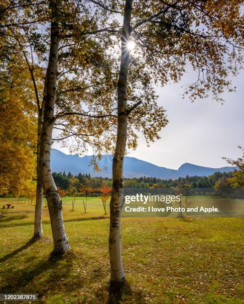 tohoku autumn scenery - 岩手県 stock pictures, royalty-free photos & images