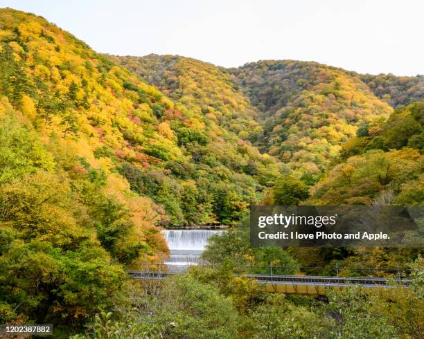 tohoku autumn scenery - 岩手県 stock pictures, royalty-free photos & images