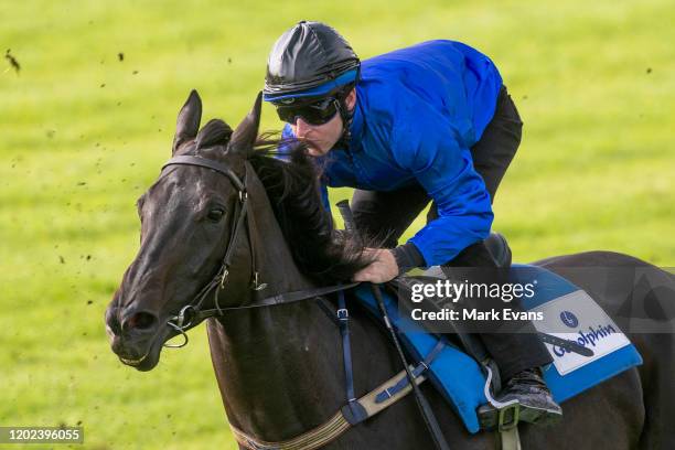 Tommy Berry on Soothing is seen during a trackwork session at Rosehill Gardens on January 28, 2020 in Sydney, Australia.