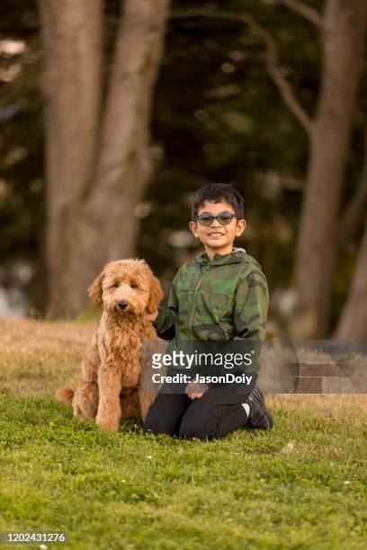 boy training goldendoodle at park - kid and dog stock pictures, royalty-free photos & images
