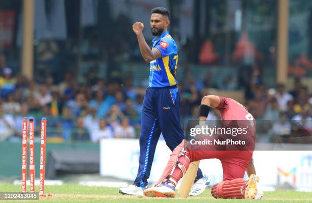 Sri Lankan cricketer Isuru Udana celebrates after taking the wicket of West Indies cricketer Shai Hope during the 1st One Day International cricket...