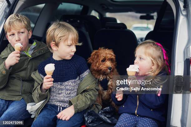 children eating ice cream together in the car - family dog stock-fotos und bilder