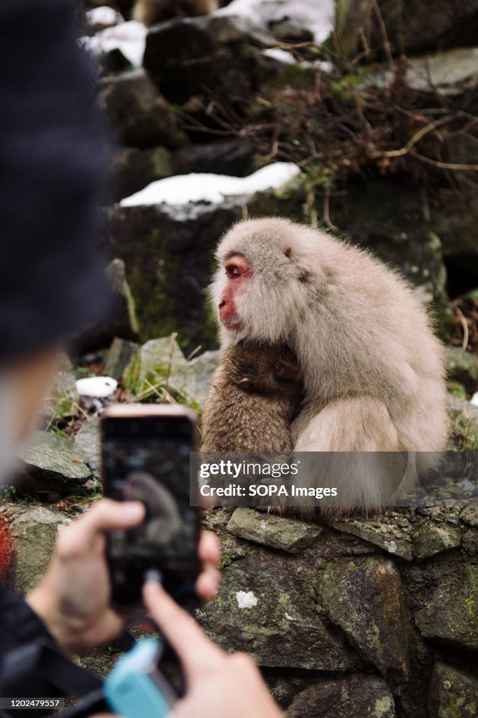 A mother and child are seen at the Jigokudani Yaen-koen.