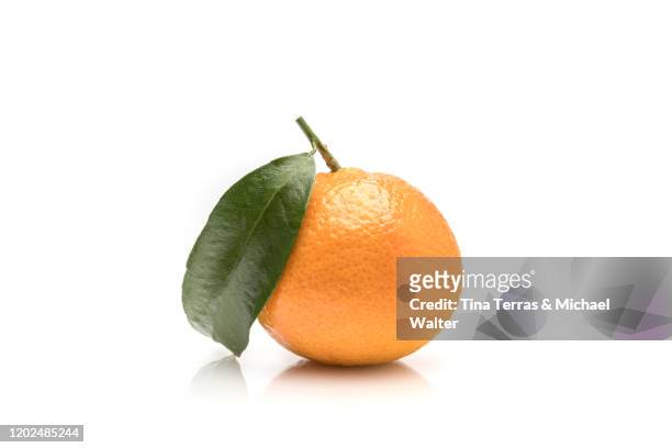 clementine with leaf against white background. - orange stock pictures, royalty-free photos & images