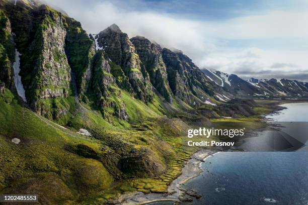 prins karls forland - spitsbergen stockfoto's en -beelden