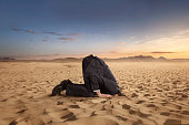 Desparate businessman hiding head in the sand