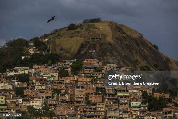 buildings on a hillside in brazil - rio de janeiro landscape stock pictures, royalty-free photos & images