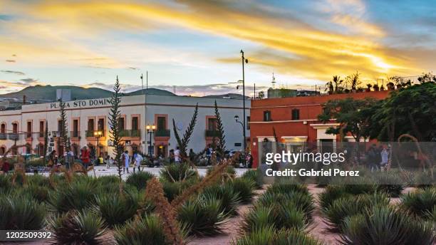 a oaxaca cityscape - oaxaca stock pictures, royalty-free photos & images