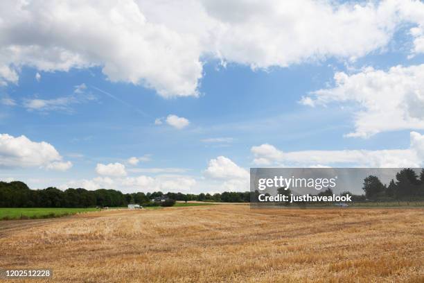 landschaft am stadtrand von essen kettwig im sommer - stoppelfeld stock-fotos und bilder