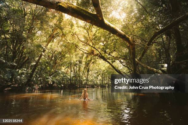 mossman tourist - cairns australië stockfoto's en -beelden