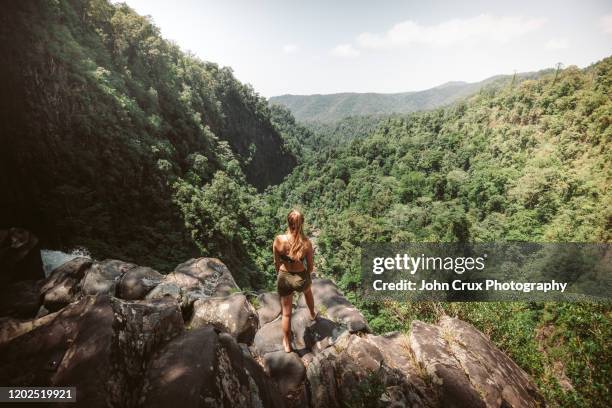 cannabullen backpacker - queensland rainforest stock pictures, royalty-free photos & images