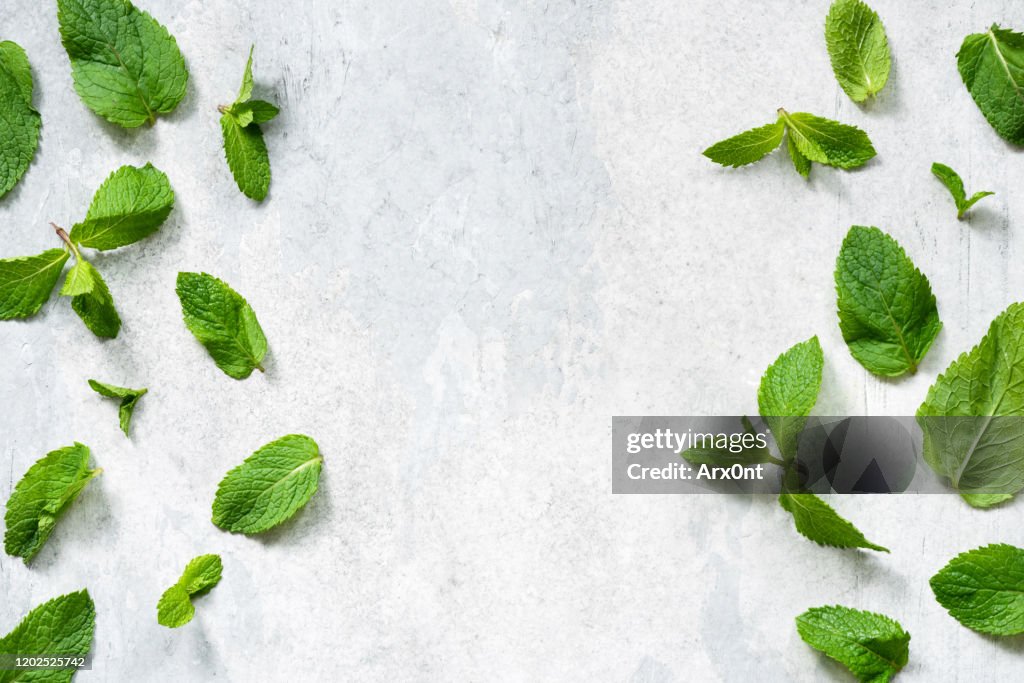 Green mint leaf flat lay