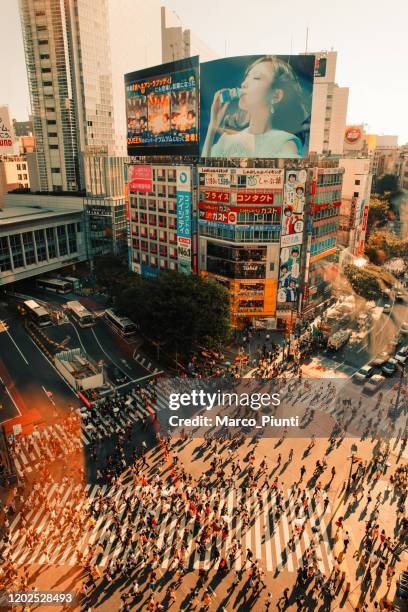 aerial view shibuya crossing tokyo japan - cruzamento de shibuya imagens e fotografias de stock