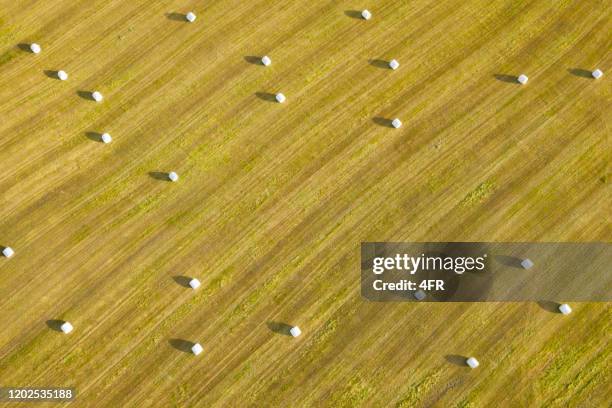 hay bale rolls, agriculture, farming - farm norway stock pictures, royalty-free photos & images