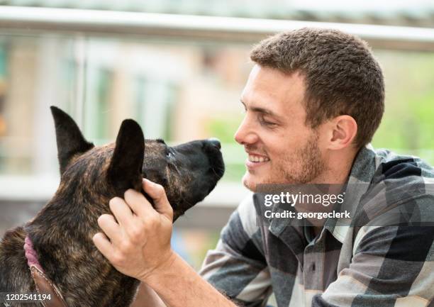 enjoying being a dog owner - face to face stock pictures, royalty-free photos & images