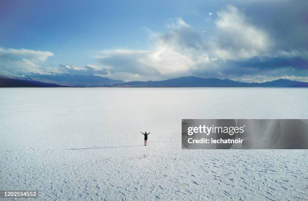 vrouw in het midden van de zoute woestijn - luchtmening - salta argentina stockfoto's en -beelden