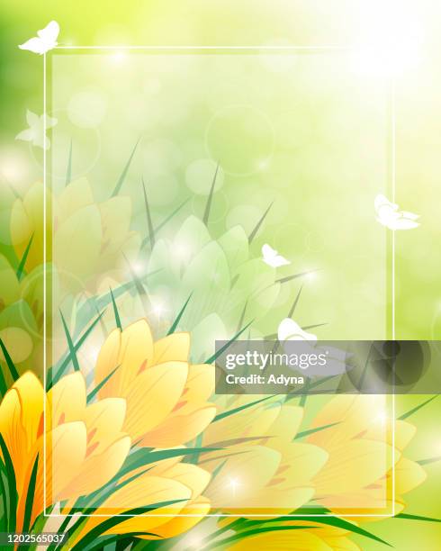 spring flower frame - yellow crocus stock illustrations