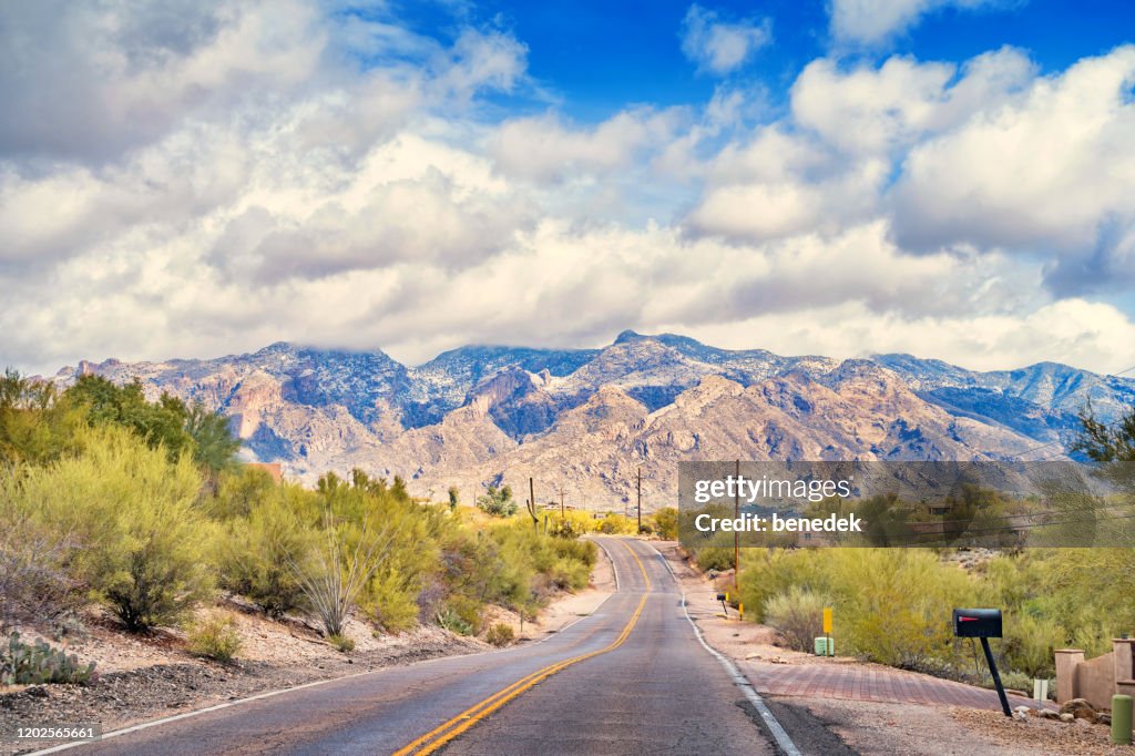 Road in Catalina Foothills Tucson Arizona