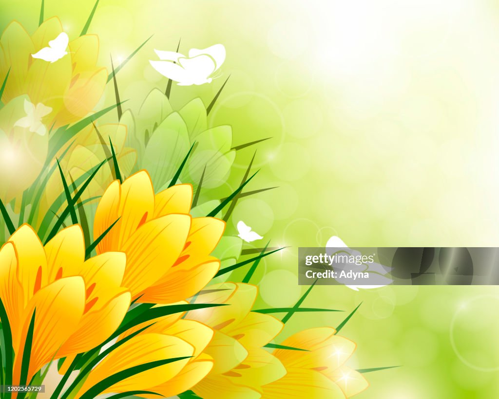 Spring Fount Background Spring Background High-Res Vector Graphic - Getty Images