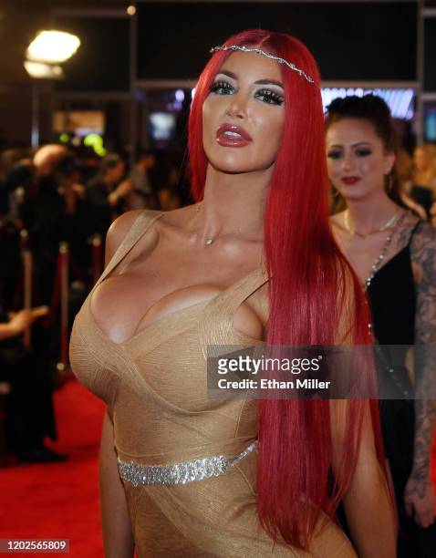 Adult film actress Nicolette Shea attends the 2020 Adult Video News Awards at The Joint inside the Hard Rock Hotel & Casino on January 25, 2020 in...