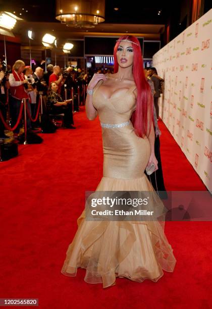 Adult film actress Nicolette Shea attends the 2020 Adult Video News Awards at The Joint inside the Hard Rock Hotel & Casino on January 25, 2020 in...