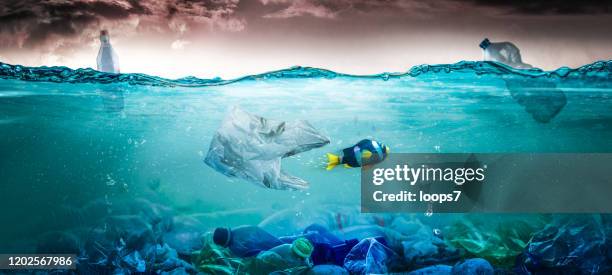 plastic pollution concept - ocean pollution stock pictures, royalty-free photos & images