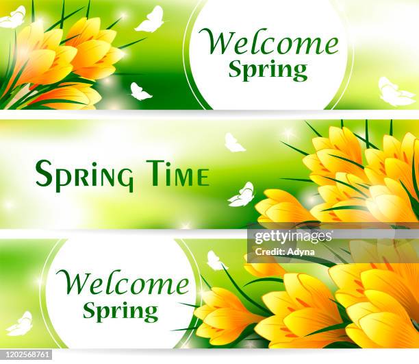 spring banner - yellow crocus stock illustrations