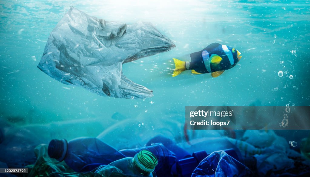 Fish Trying to Escape from a Plastic Bag that Wants to Eat It. Plastic Pollution Concept.