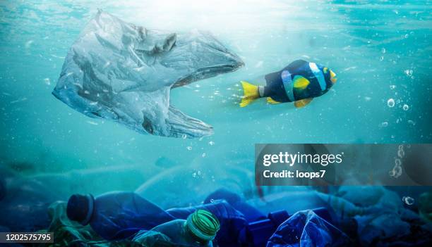fish trying to escape from a plastic bag that wants to eat it. plastic pollution concept. - plastic animals stock pictures, royalty-free photos & images