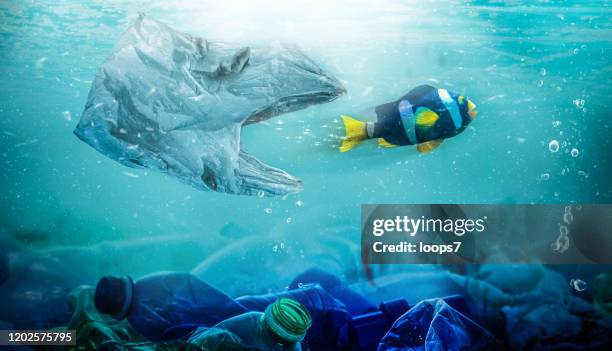 fish trying to escape from a plastic bag that wants to eat it. plastic pollution concept. - seabed stock pictures, royalty-free photos & images