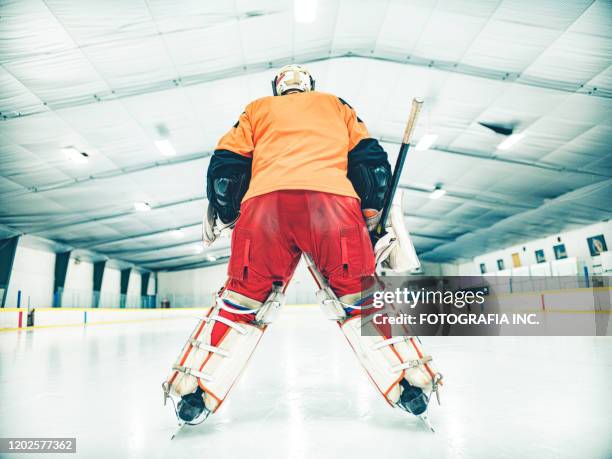 pro hockey goalie - hockey jersey stock pictures, royalty-free photos & images