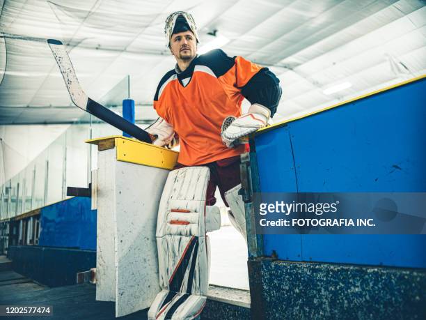 pro hockey goalie - ice hockey player stock pictures, royalty-free photos & images