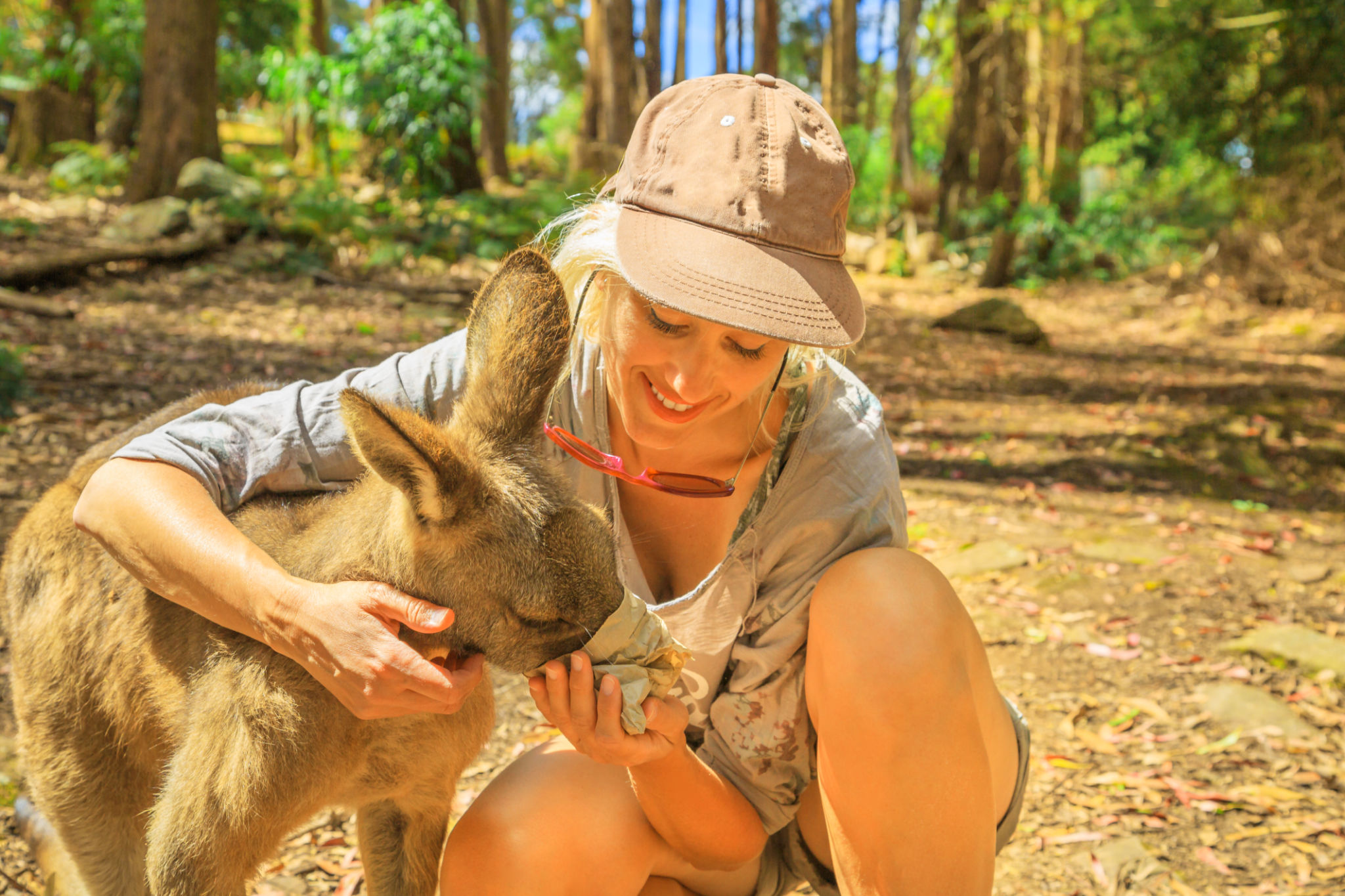 volunteer wildlife