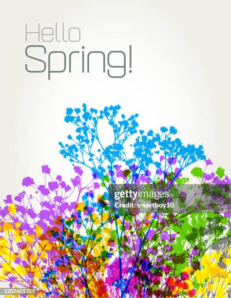 spring flowers - carnation flower vector stock illustrations