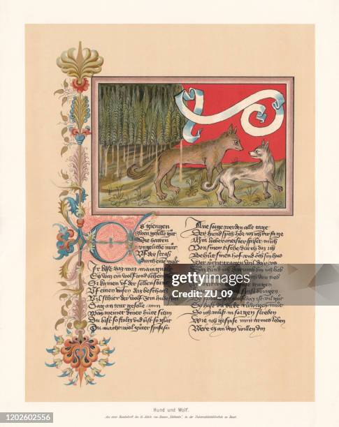 ilustraciones, imágenes clip art, dibujos animados e iconos de stock de perro y lobo, fábula de ulrich boner (ca.1349), faximile, 1897 - manuscrito